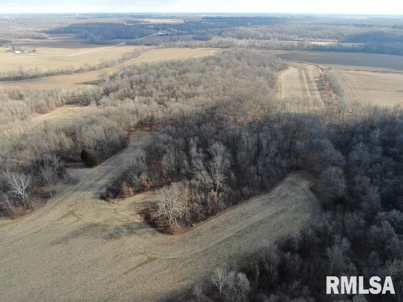0 East Clark Road Marshall, IL 62441 - Photo 5 of 19