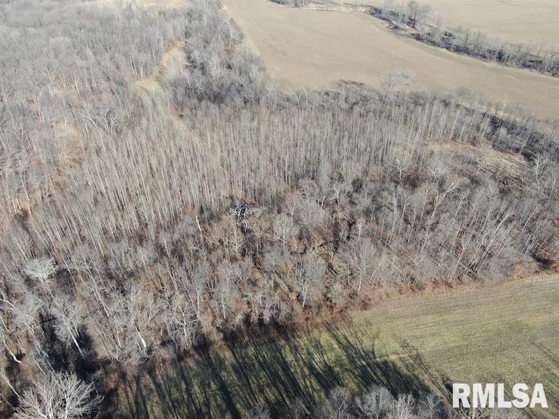 0 East Clark Road Marshall, IL 62441 - Photo 9 of 19