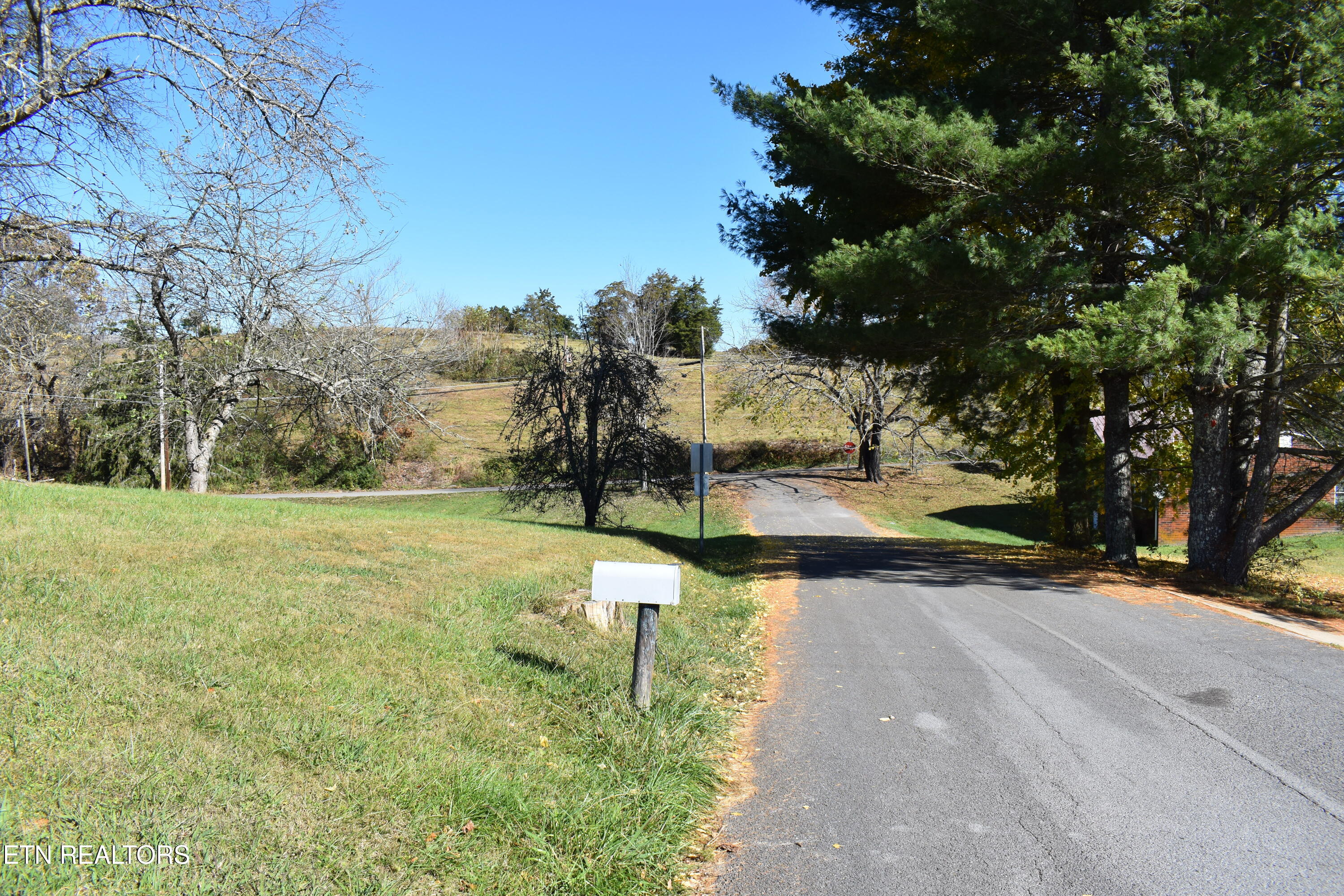 River Road Harrogate, TN 37752 - Photo 12 of 15 DSC_0011