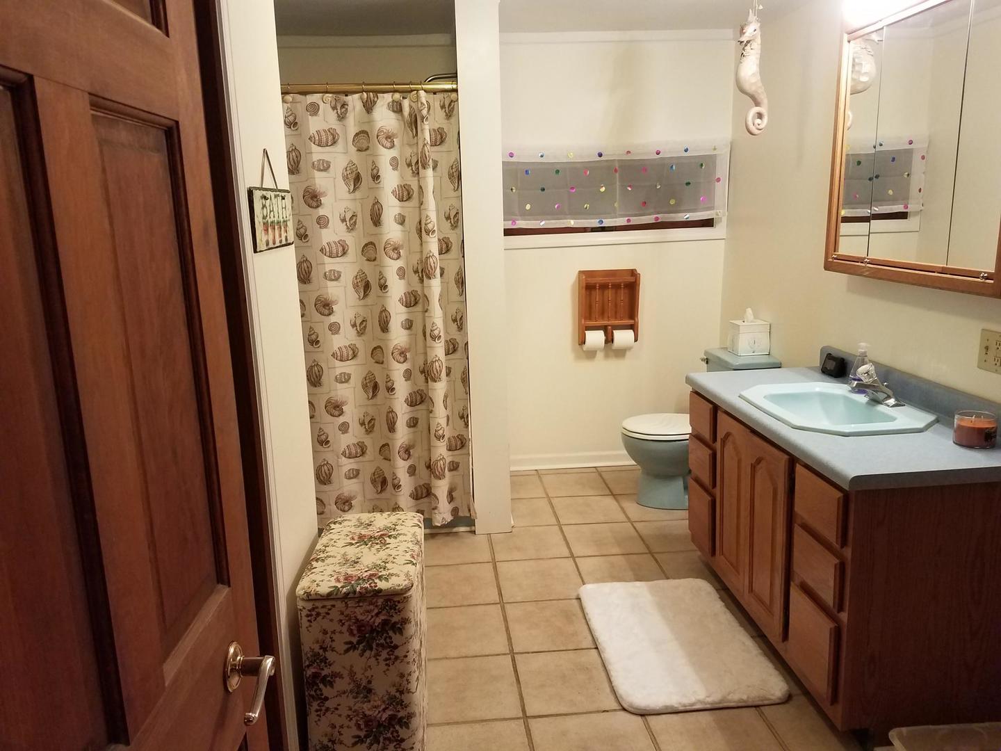 10481 Cherry Valley Road Genoa, IL 60135 - Photo 10 of 17 a bathroom with a sink a toilet and a shower
