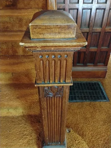 a view of a tree with a tree