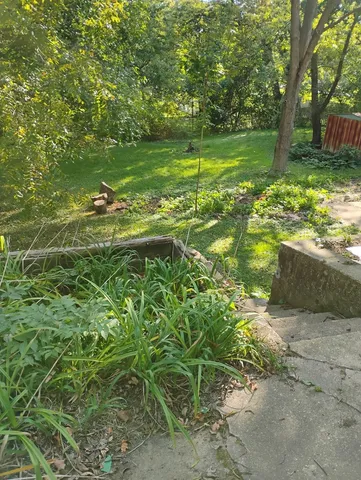 a view of a trees with a yard