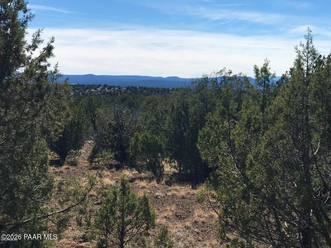 1203 County Line Circle Ash Fork, AZ 86320 - Photo 2 of 8 a view of a city with lush green forest