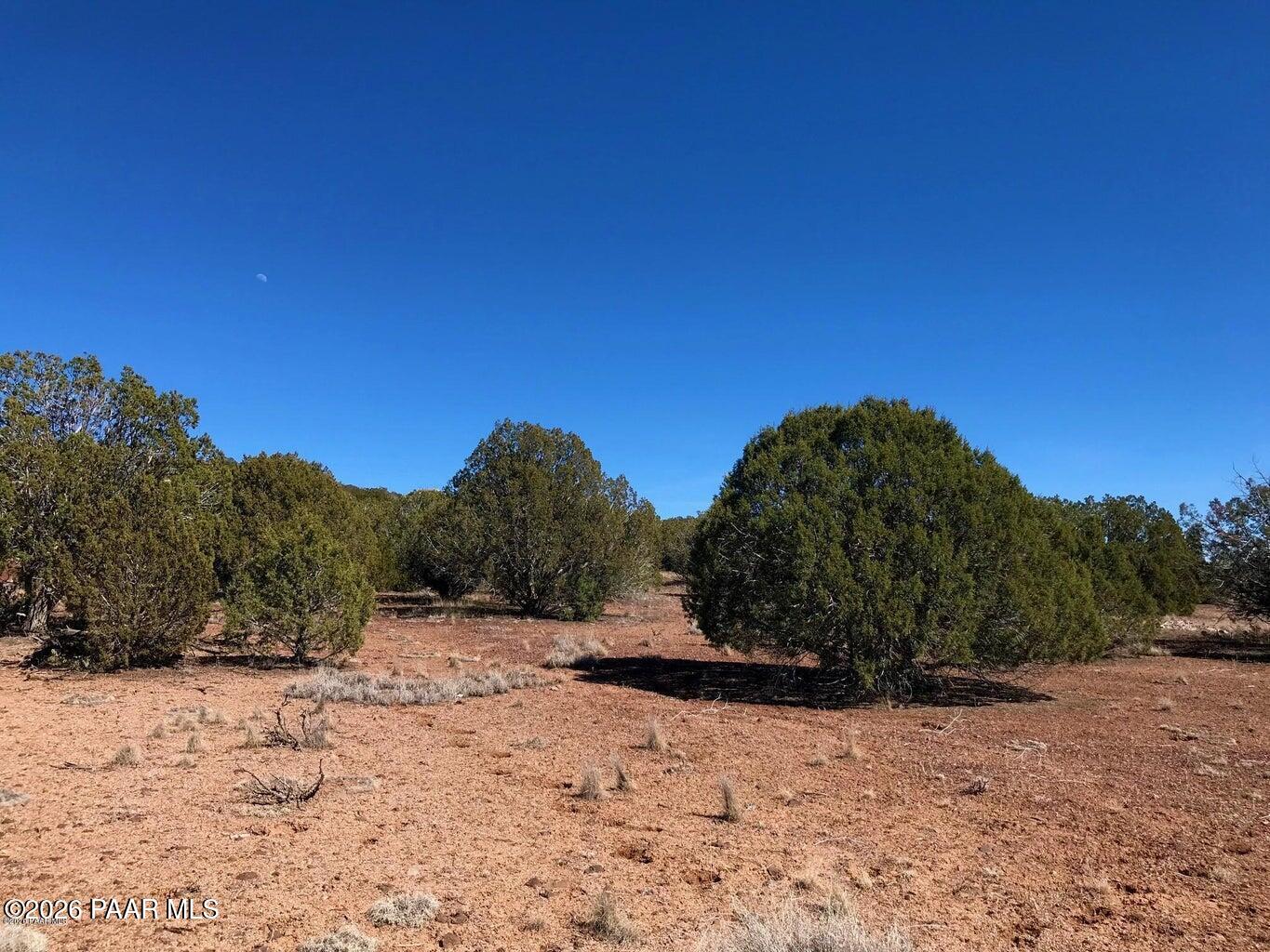 1203 County Line Circle Ash Fork, AZ 86320 - Photo 6 of 8 a view of a large trees with a wooden fence