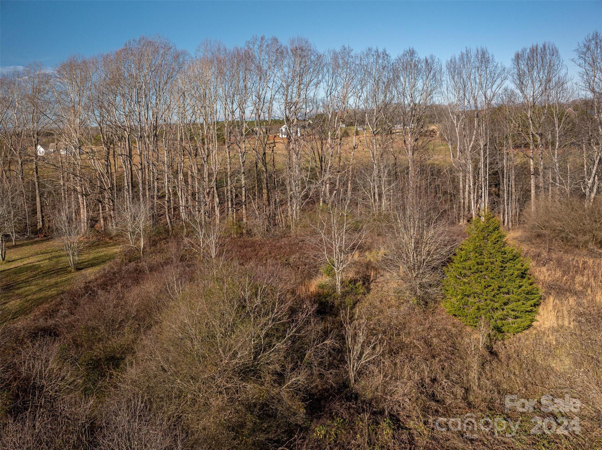 0 Evondale Road, Unit 105 Crouse, NC 28033 - Photo 12 of 19 Gallery Image 12