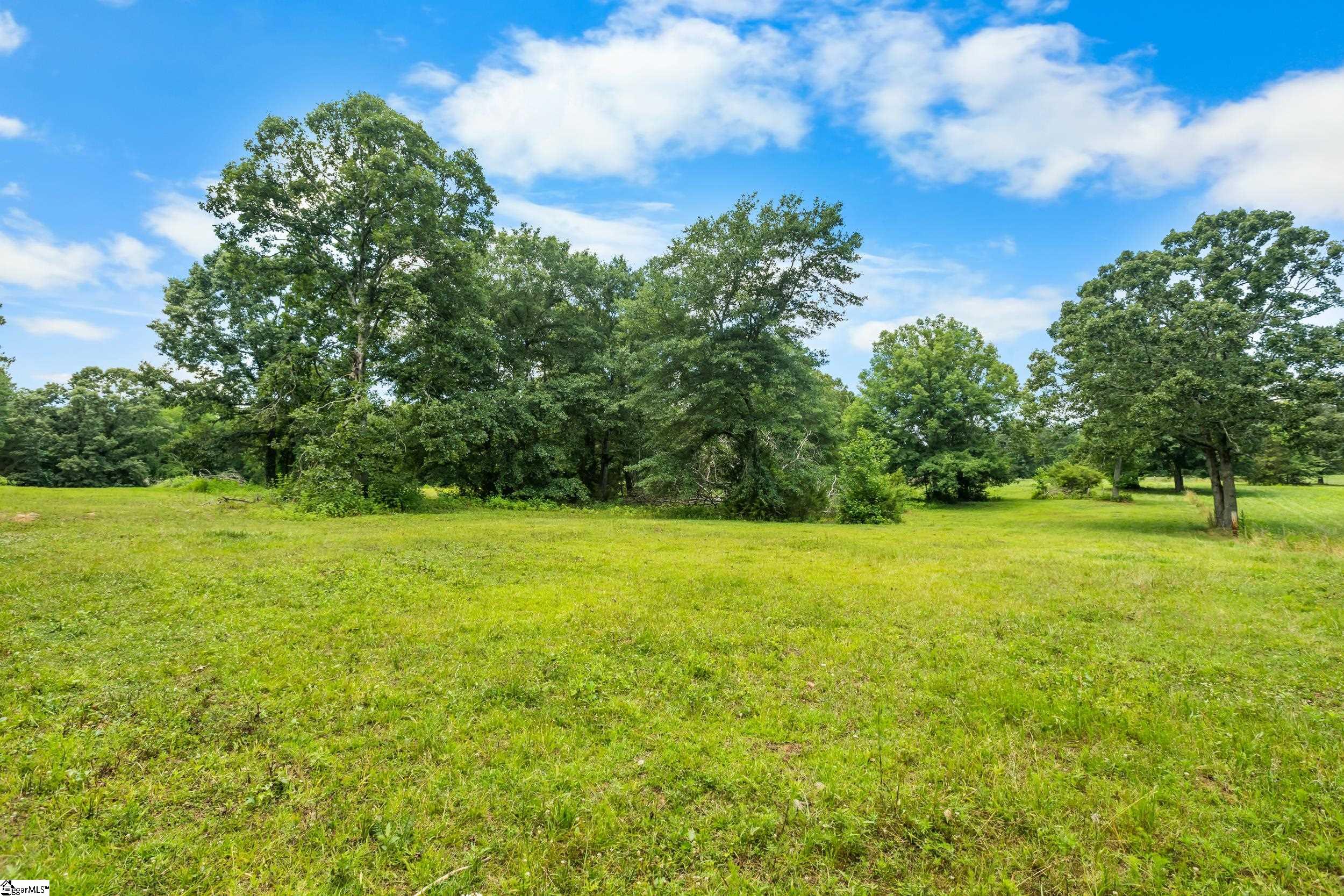 0 Poole Road Clinton, SC 29325 - Photo 11 of 14