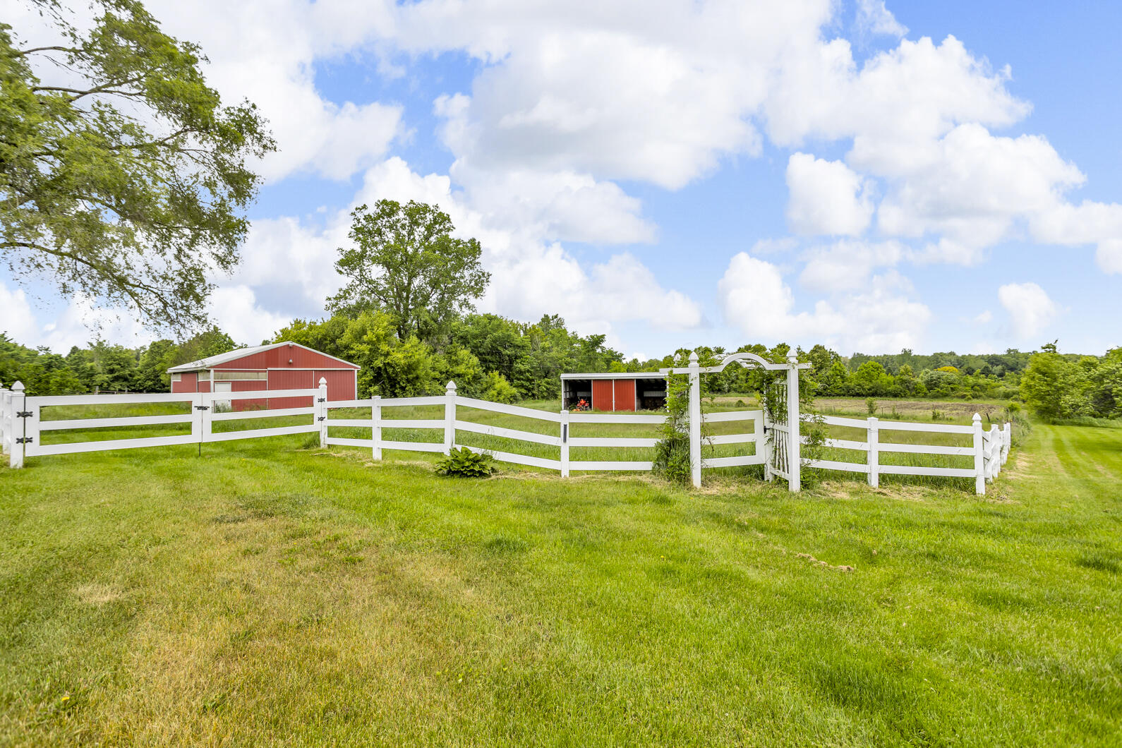 6750 County Farm Road Jackson, MI 49201 - Photo 59 of 59 0N0A7622