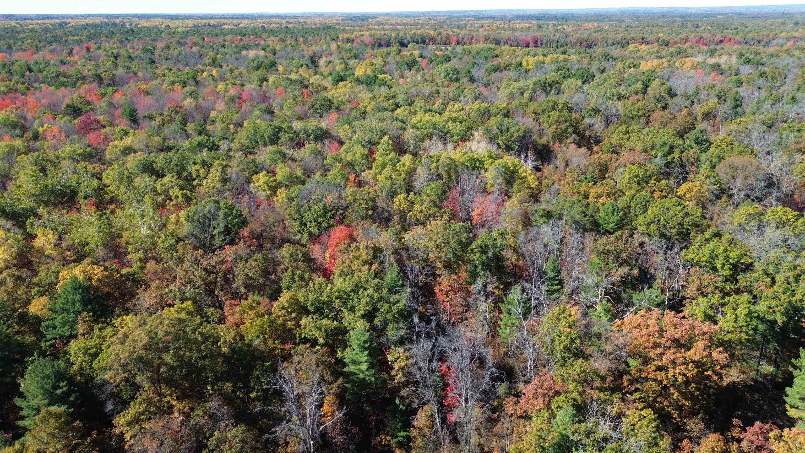 0 Timber Trail Prescott, MI 48756 - Photo 20 of 44