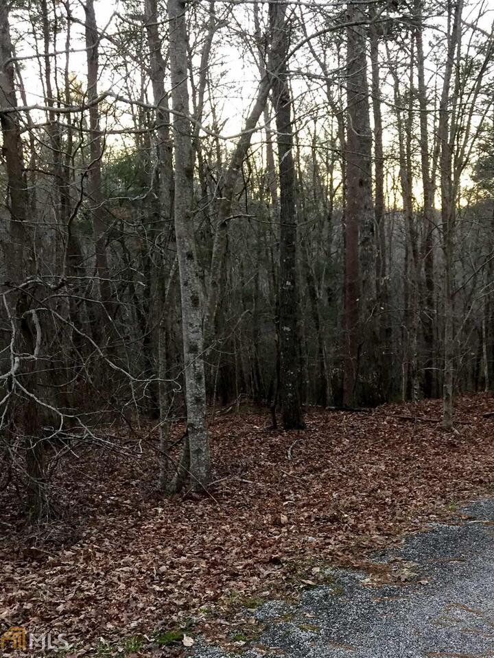 0 Northeast Deer Track Road Cornelia, GA 30531 - Photo 1 of 1 a view of a forest with trees