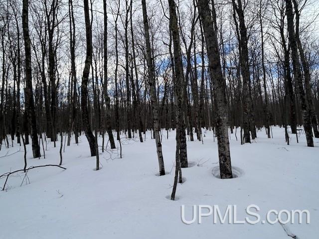 53554 North Superior Road Houghton, MI 49931 - Photo 17 of 41