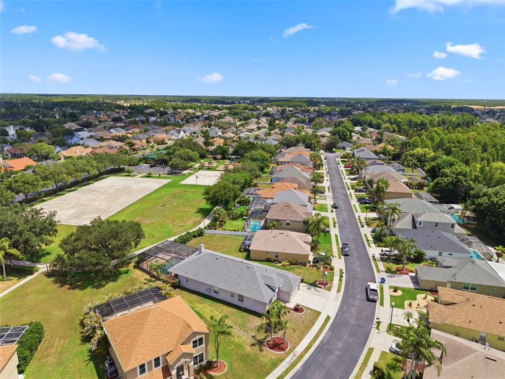 1623 Crossvine Court Trinity, FL 34655 - Photo 48 of 56
