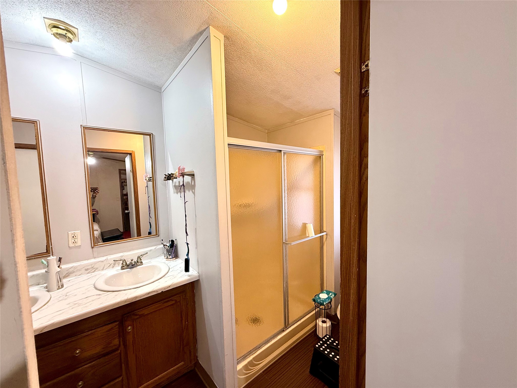 685 Fox Lane Lockhart, TX 78644 - Photo 21 of 39 Bathroom featuring vanity, a textured ceiling, a stall shower, and lofted ceiling