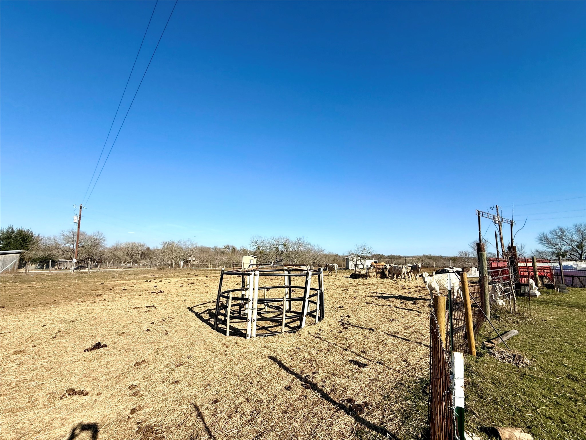 685 Fox Lane Lockhart, TX 78644 - Photo 24 of 39 View of yard featuring a view of rural / pastoral area