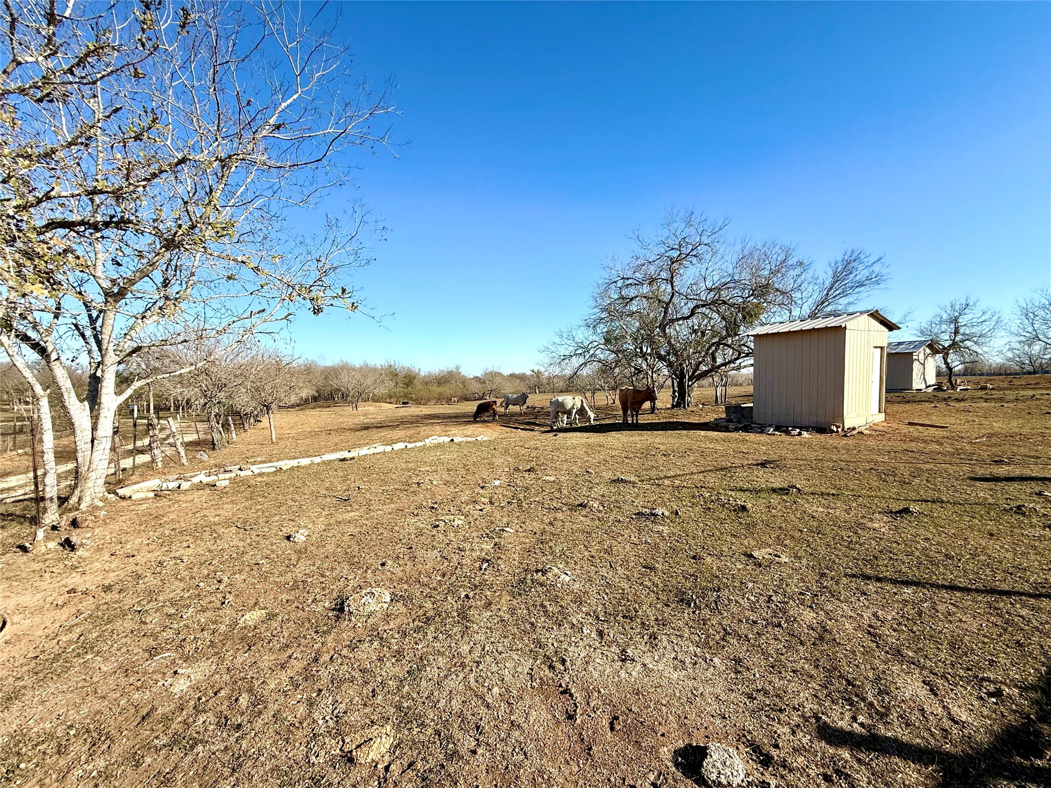 685 Fox Lane Lockhart, TX 78644 - Photo 30 of 39 View of yard featuring a storage unit and a view of countryside. Well house