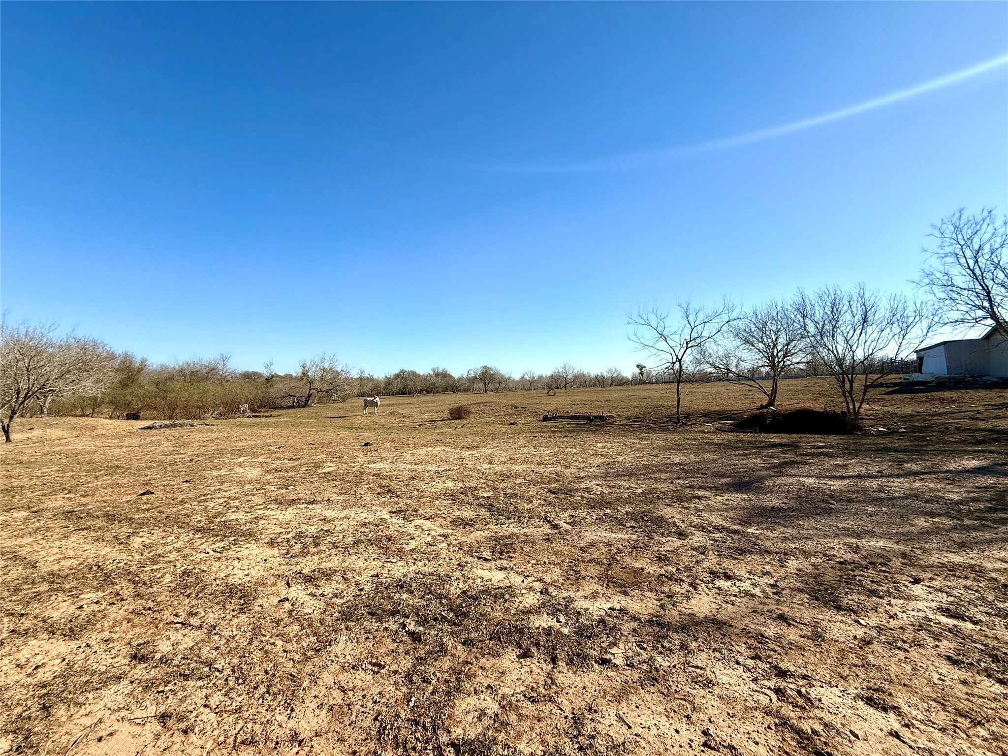 685 Fox Lane Lockhart, TX 78644 - Photo 31 of 39 View of yard featuring a view of rural / pastoral area