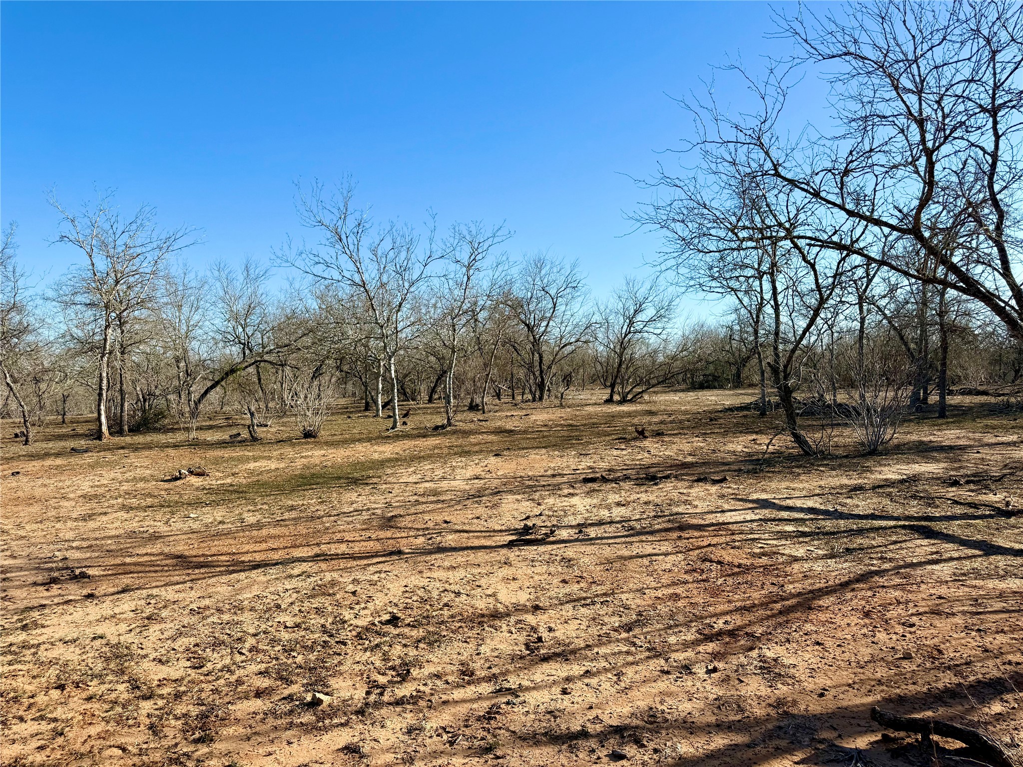 685 Fox Lane Lockhart, TX 78644 - Photo 35 of 39 View of undeveloped land with rural landscape