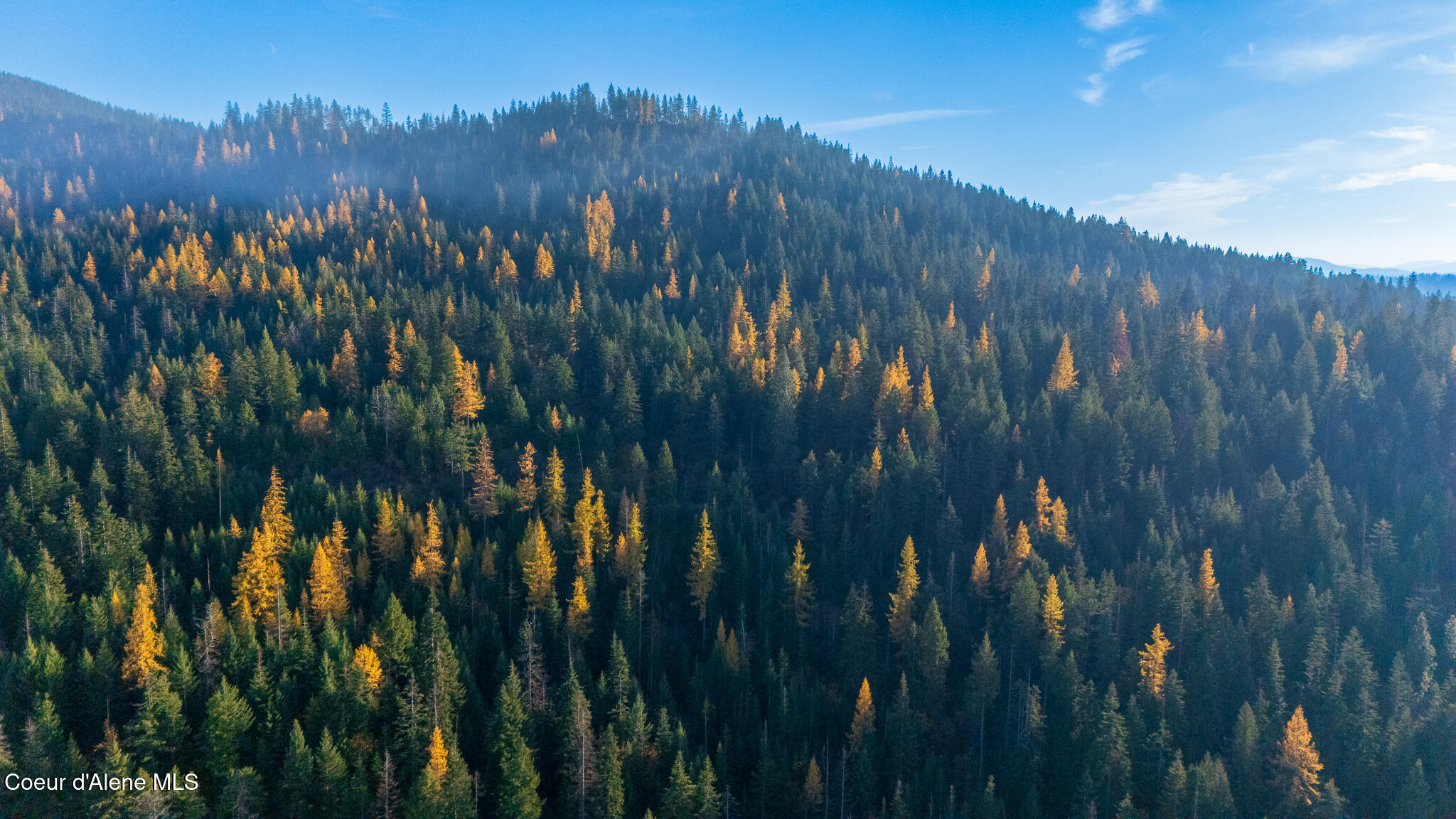 Nka 39-ac Half Round Bay Road Harrison, ID 83833 - Photo 17 of 44 20241031_Moore_CDA026v000