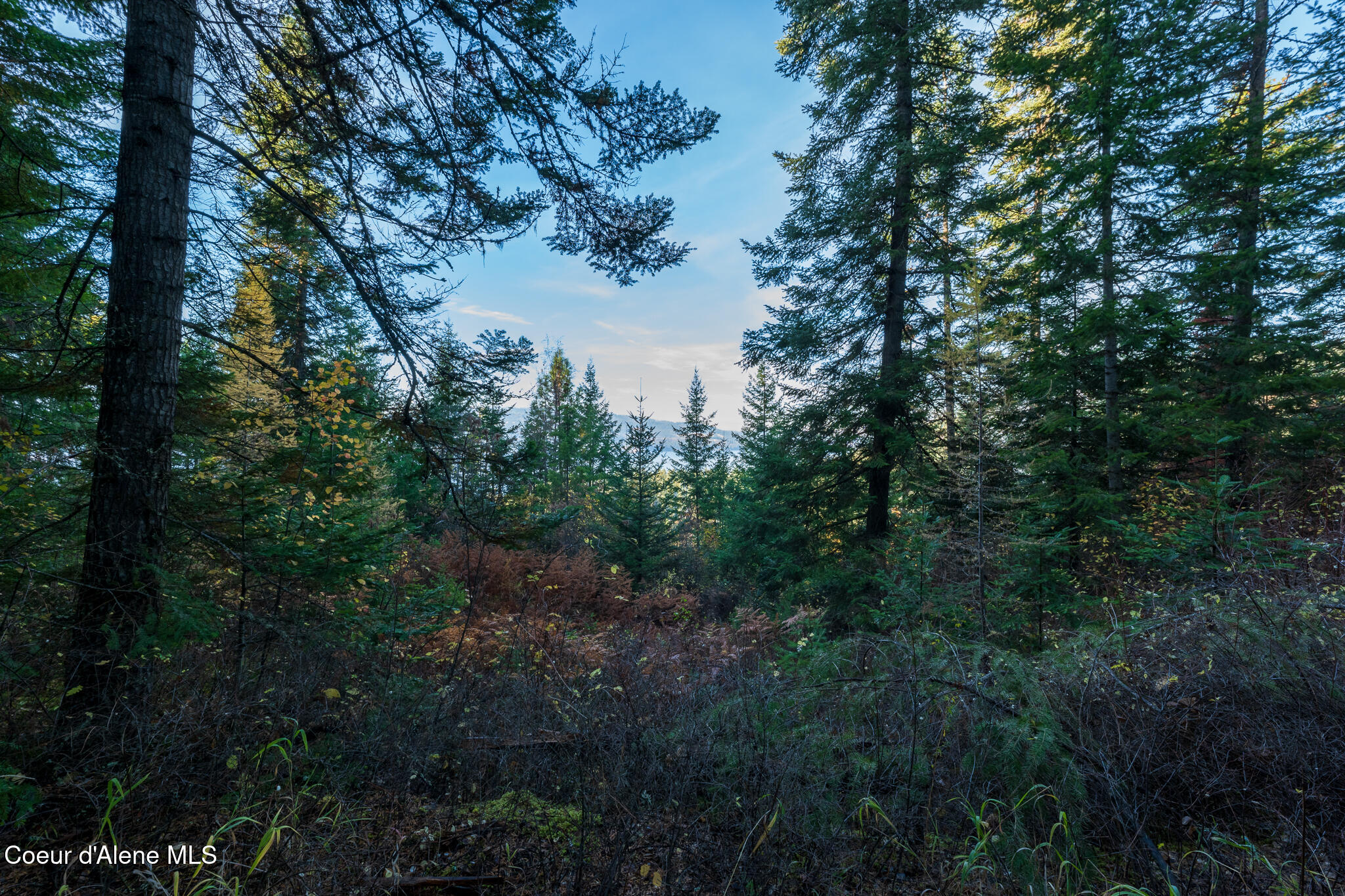 Nka 39-ac Half Round Bay Road Harrison, ID 83833 - Photo 21 of 44 20241031_Moore_CDA049v000