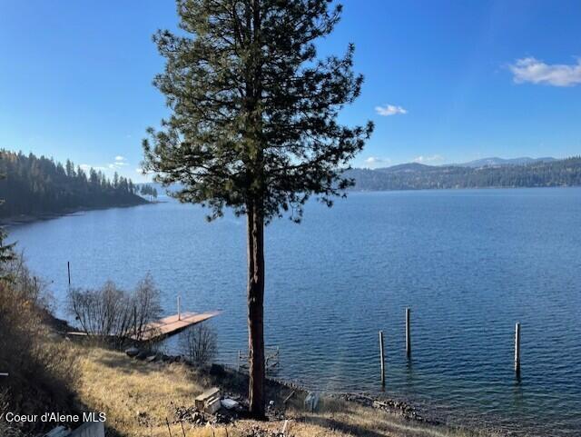 Nka 39-ac Half Round Bay Road Harrison, ID 83833 - Photo 26 of 44 Lake Access 2
