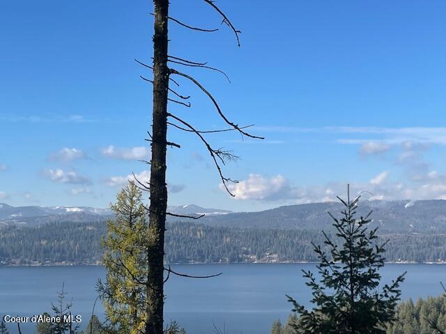 Nka 39-ac Half Round Bay Road Harrison, ID 83833 - Photo 27 of 44 Lake View 6