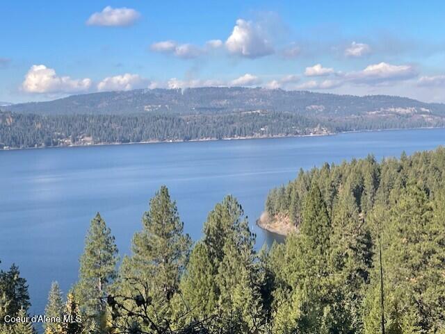 Nka 39-ac Half Round Bay Road Harrison, ID 83833 - Photo 28 of 44 Lake View 4