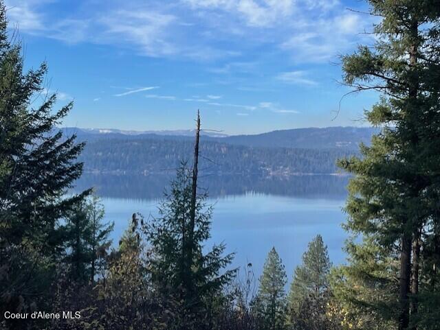 Nka 39-ac Half Round Bay Road Harrison, ID 83833 - Photo 29 of 44 Lake View 7