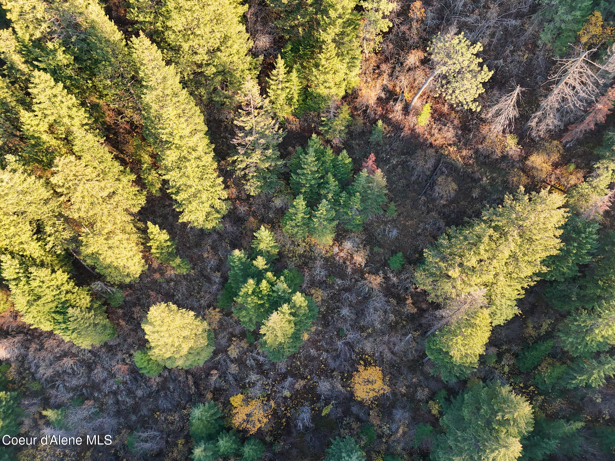 Nka 39-ac Half Round Bay Road Harrison, ID 83833 - Photo 31 of 44 20241031_Moore_CDA_PANO_0006-2