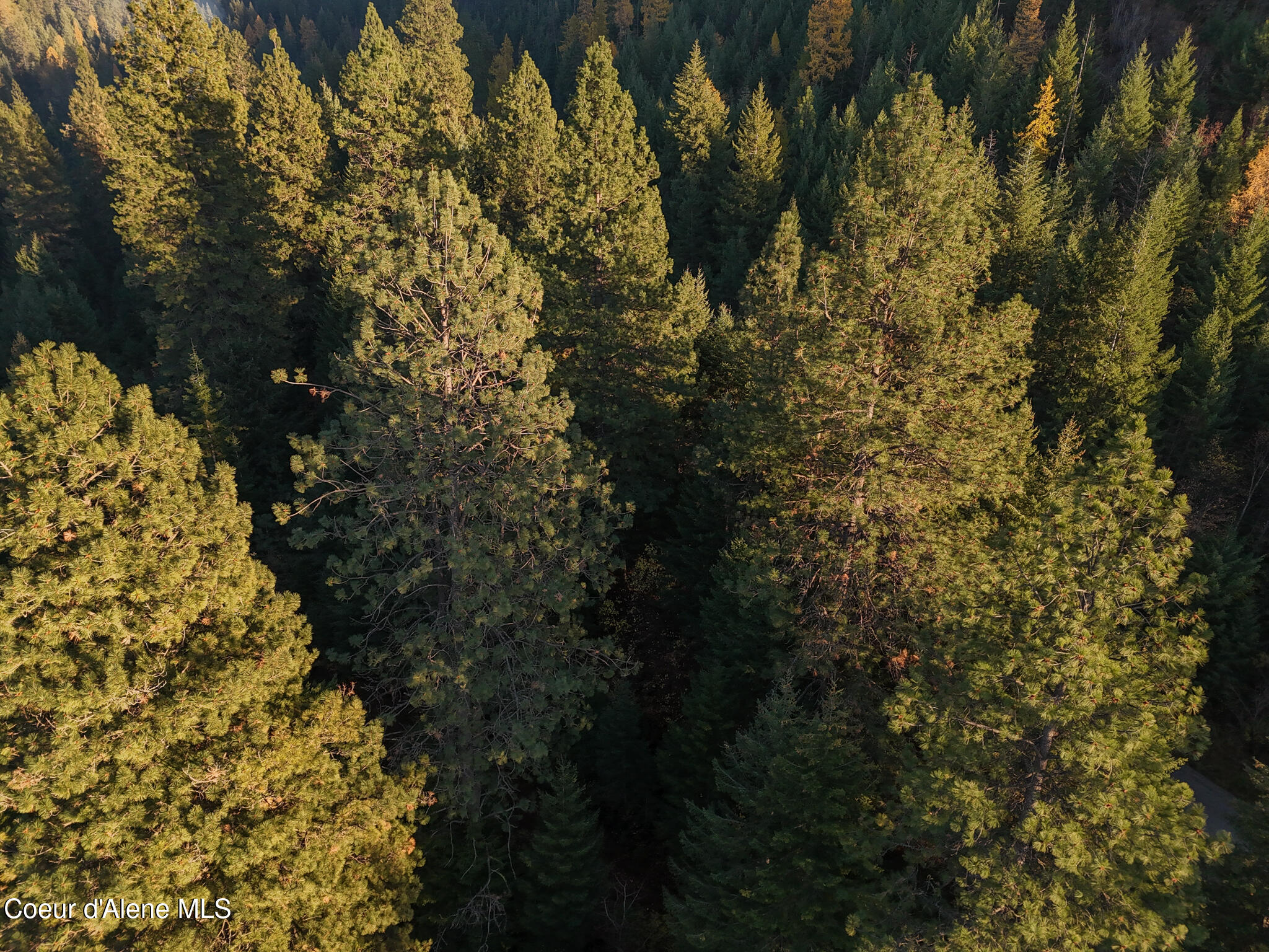 Nka 39-ac Half Round Bay Road Harrison, ID 83833 - Photo 33 of 44 20241031_Moore_CDA_PANO_0020