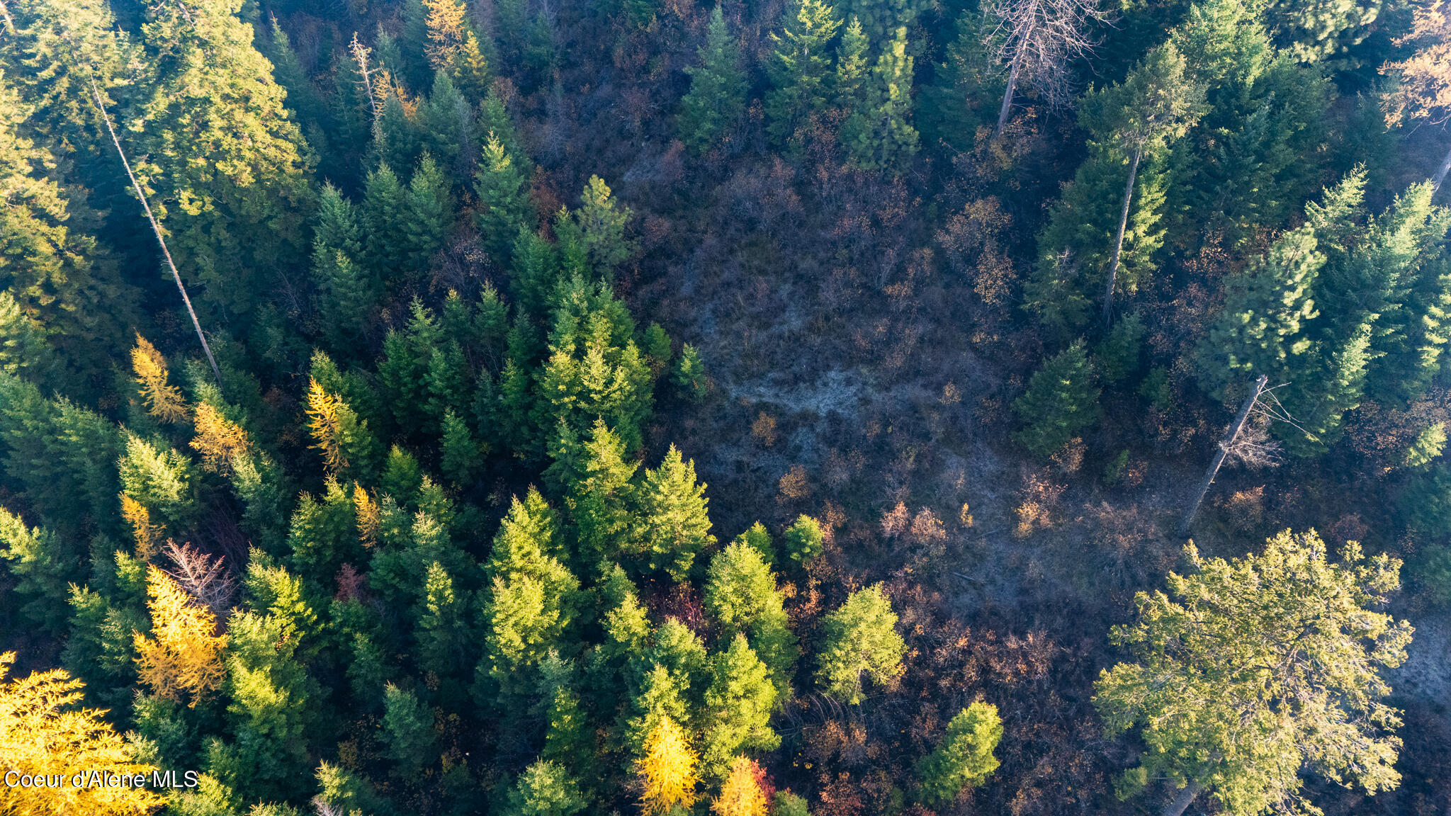 Nka 39-ac Half Round Bay Road Harrison, ID 83833 - Photo 36 of 44 20241031_Moore_CDA018v000