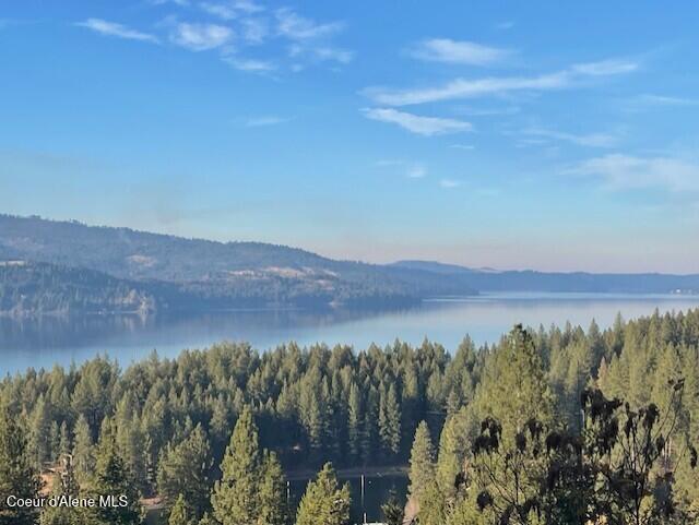 Nka 39-ac Half Round Bay Road Harrison, ID 83833 - Photo 7 of 44 Lake View 8