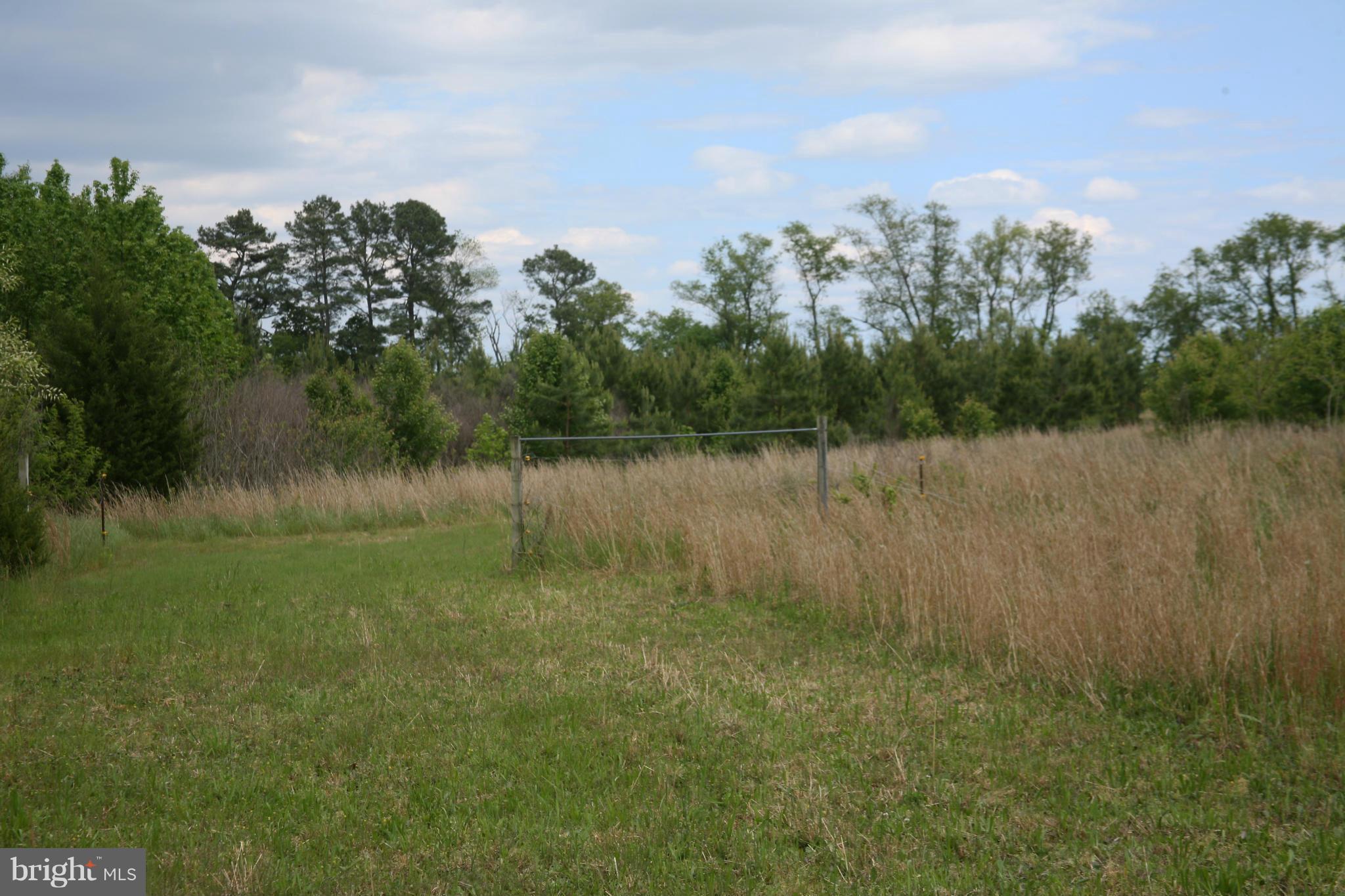 6803 Gravel Branch Road Hurlock, MD 21643 - Photo 8 of 12 Pasture