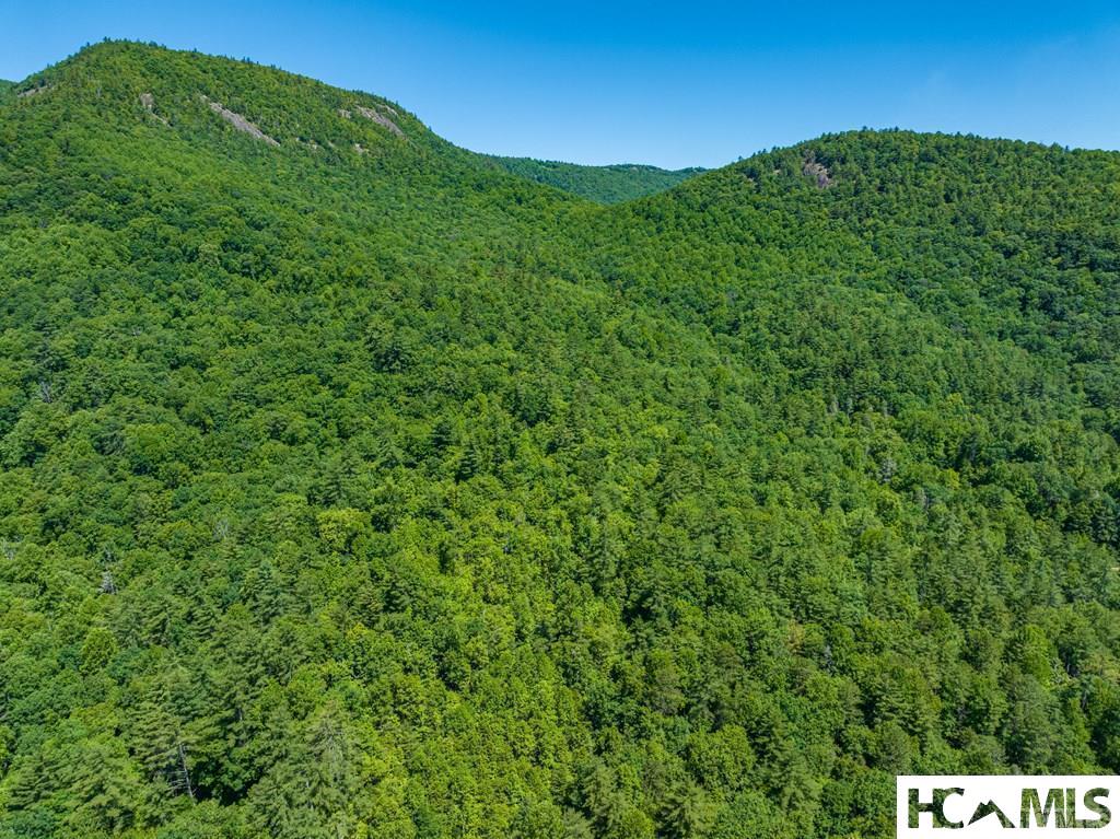 Tbd Chastain Valley Road Highlands, NC 28741 - Photo 2 of 11 Gallery Image 2