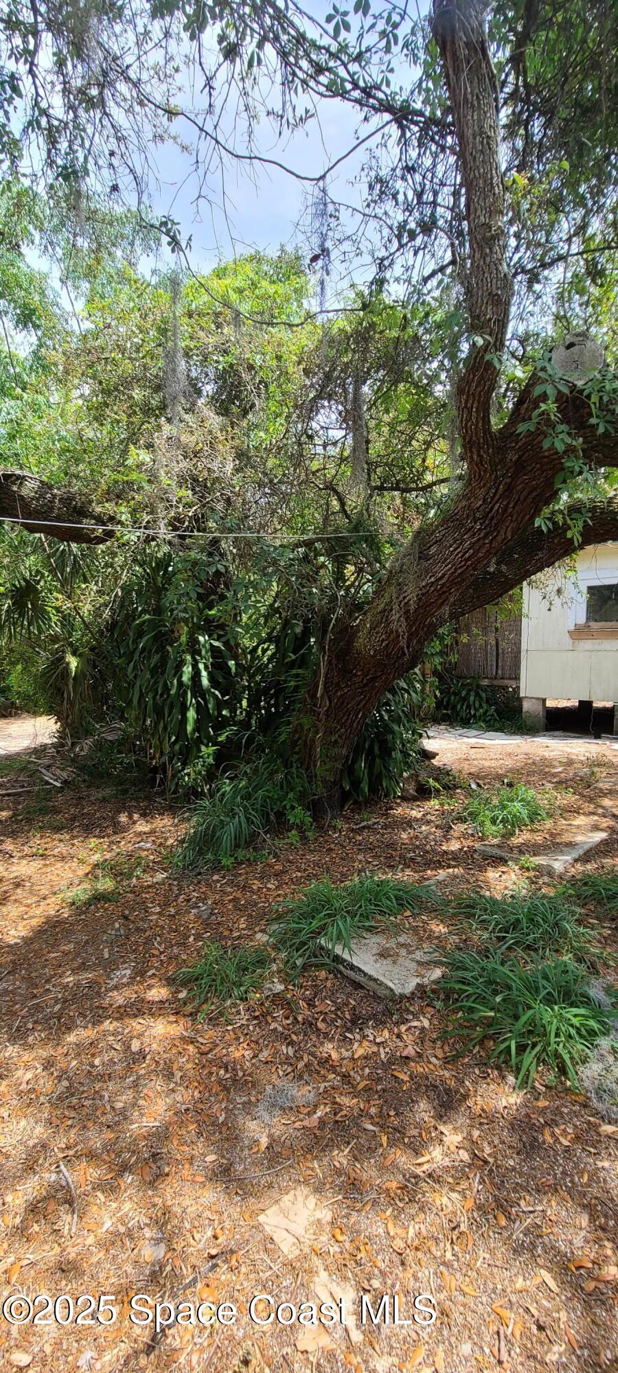 2920 Township Road Malabar, FL 32950 - Photo 7 of 28 20250422_142812