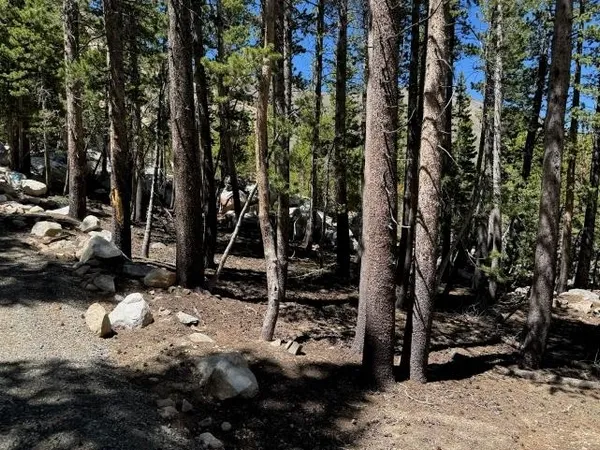 $52,000 | 0 Lodgepole Drive, Bishop, CA 93514