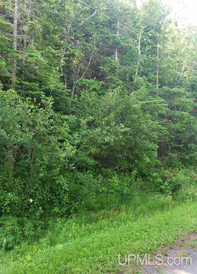 Five Mile Point Road Allouez, MI 49805 - Photo 14 of 18