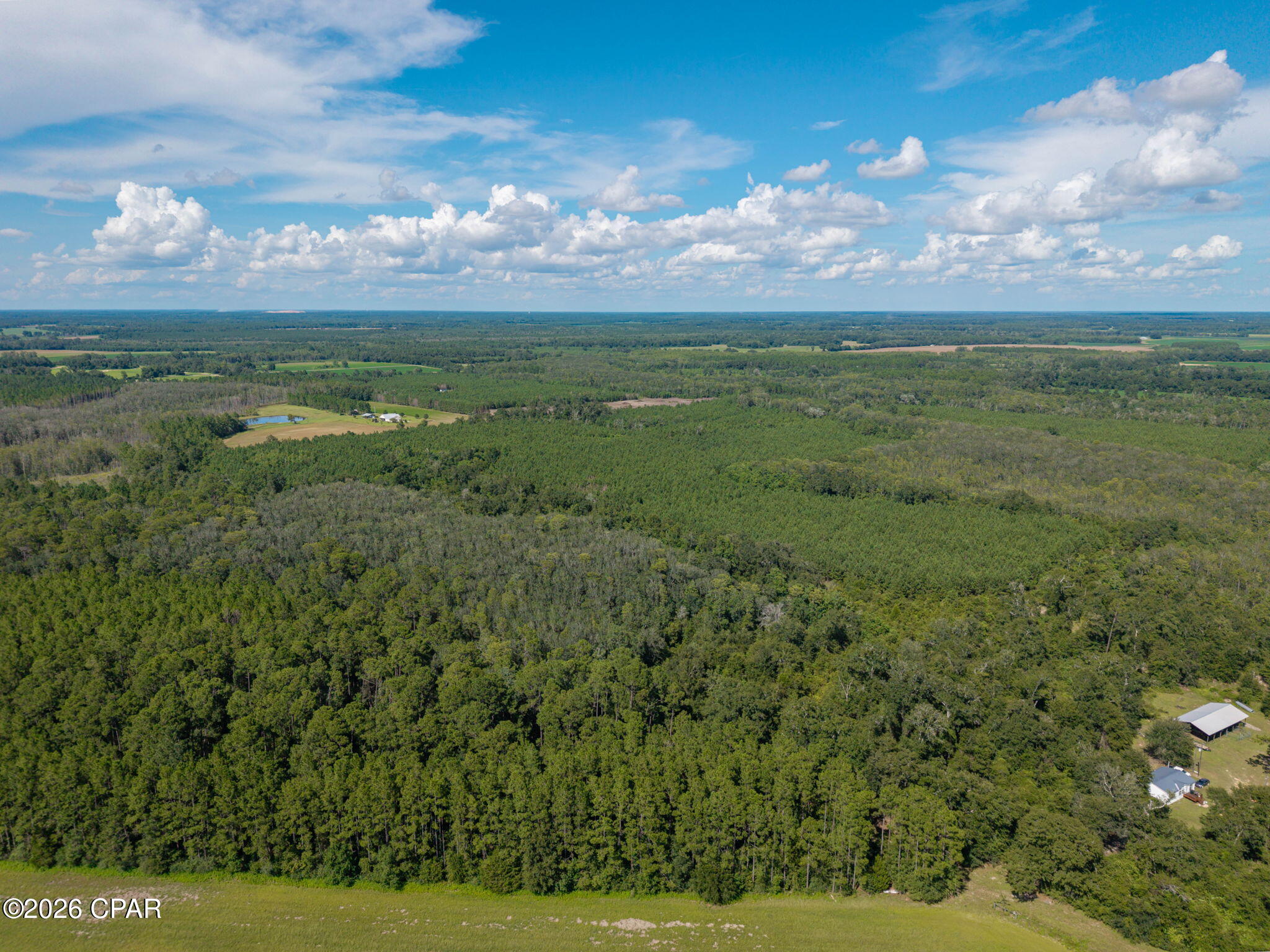 Xxx New Prospect Road Chipley, FL 32428 - Photo 12 of 20 Gallery Image 12