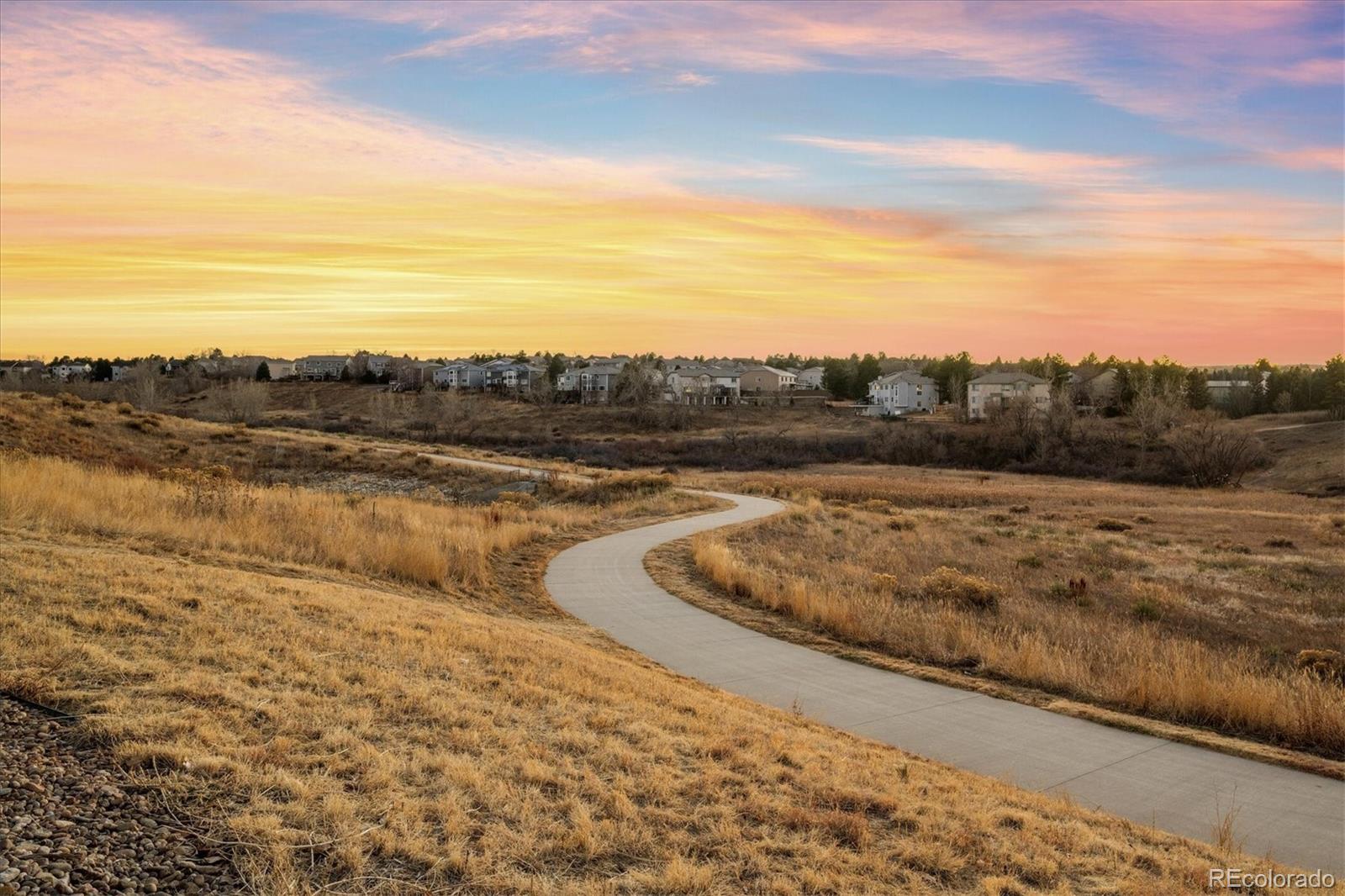 3373 Cranston Circle Highlands Ranch, CO 80126 - Photo 36 of 40
