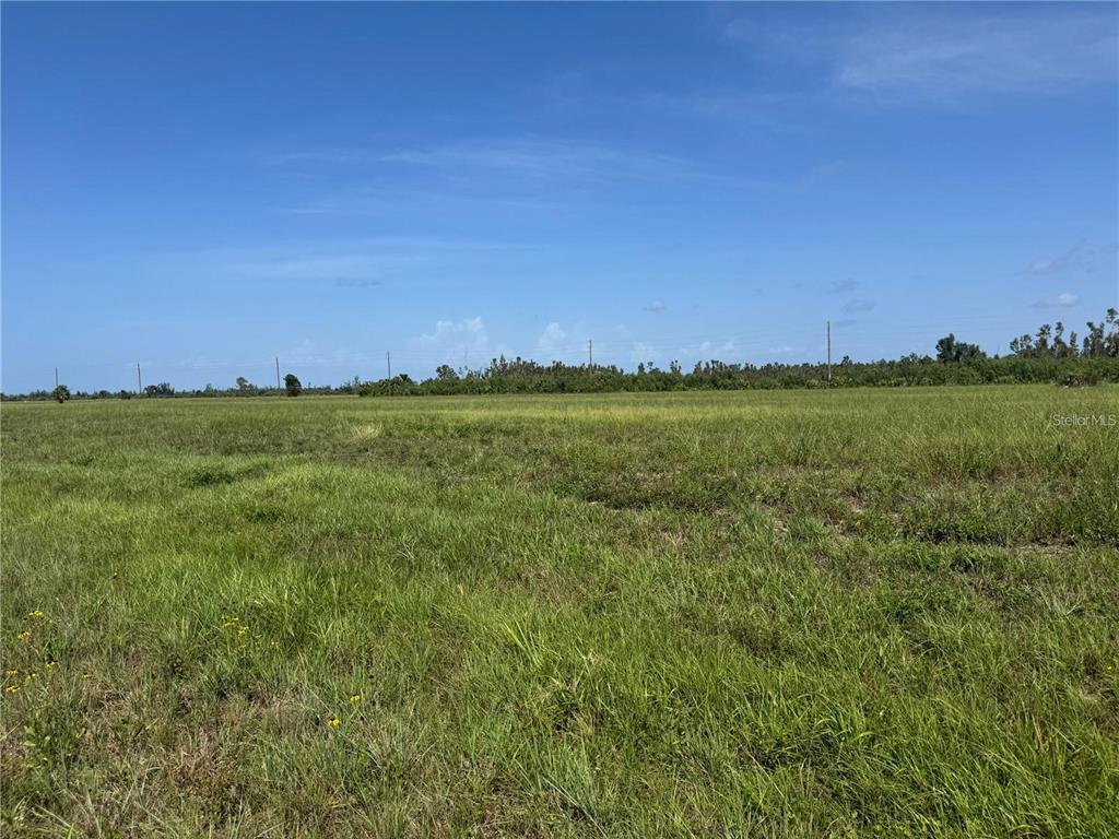 a view of a green field with lots of bushes