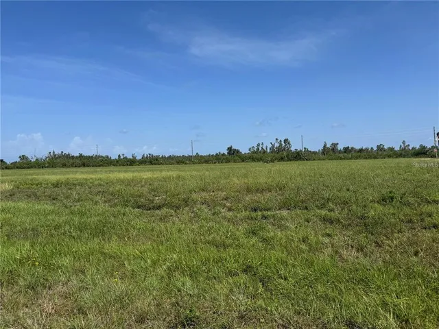 a view of a green field with two trees in the background