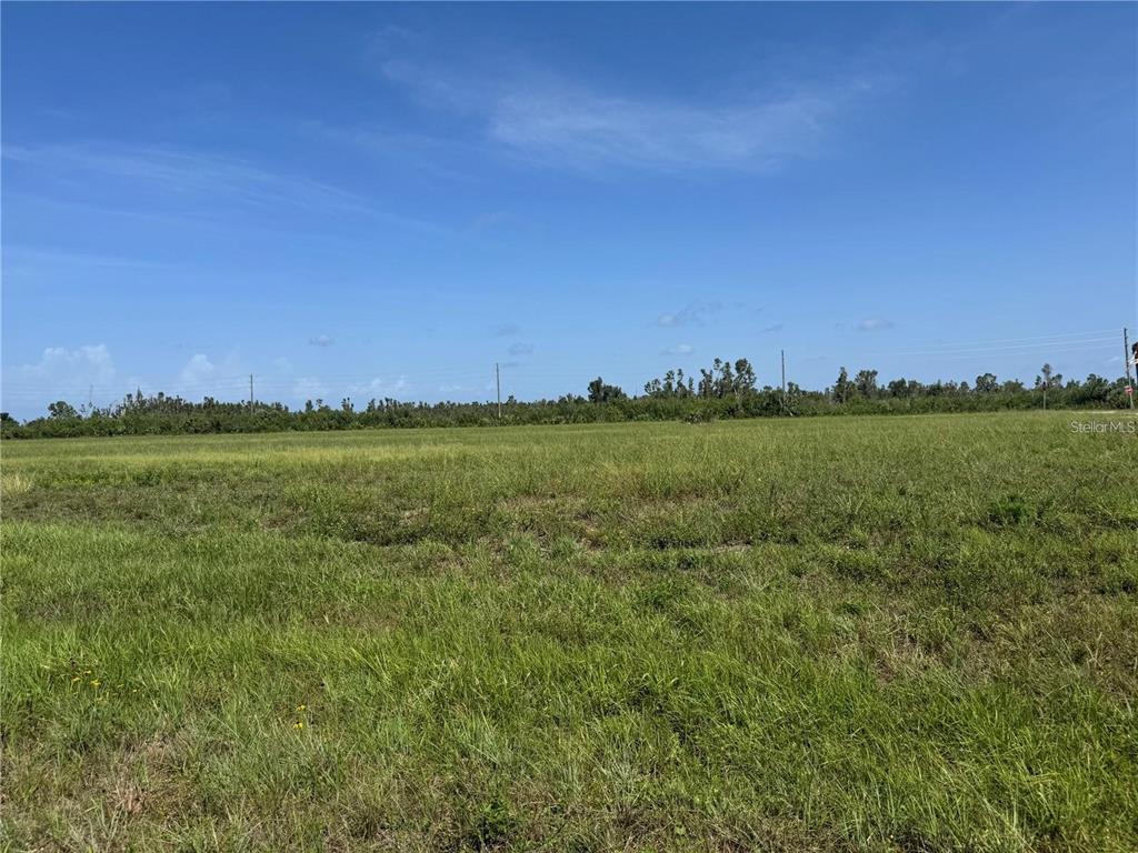 4 Croton Court Placida, FL 33946 - Photo 3 of 3 a view of a green field with two trees in the background