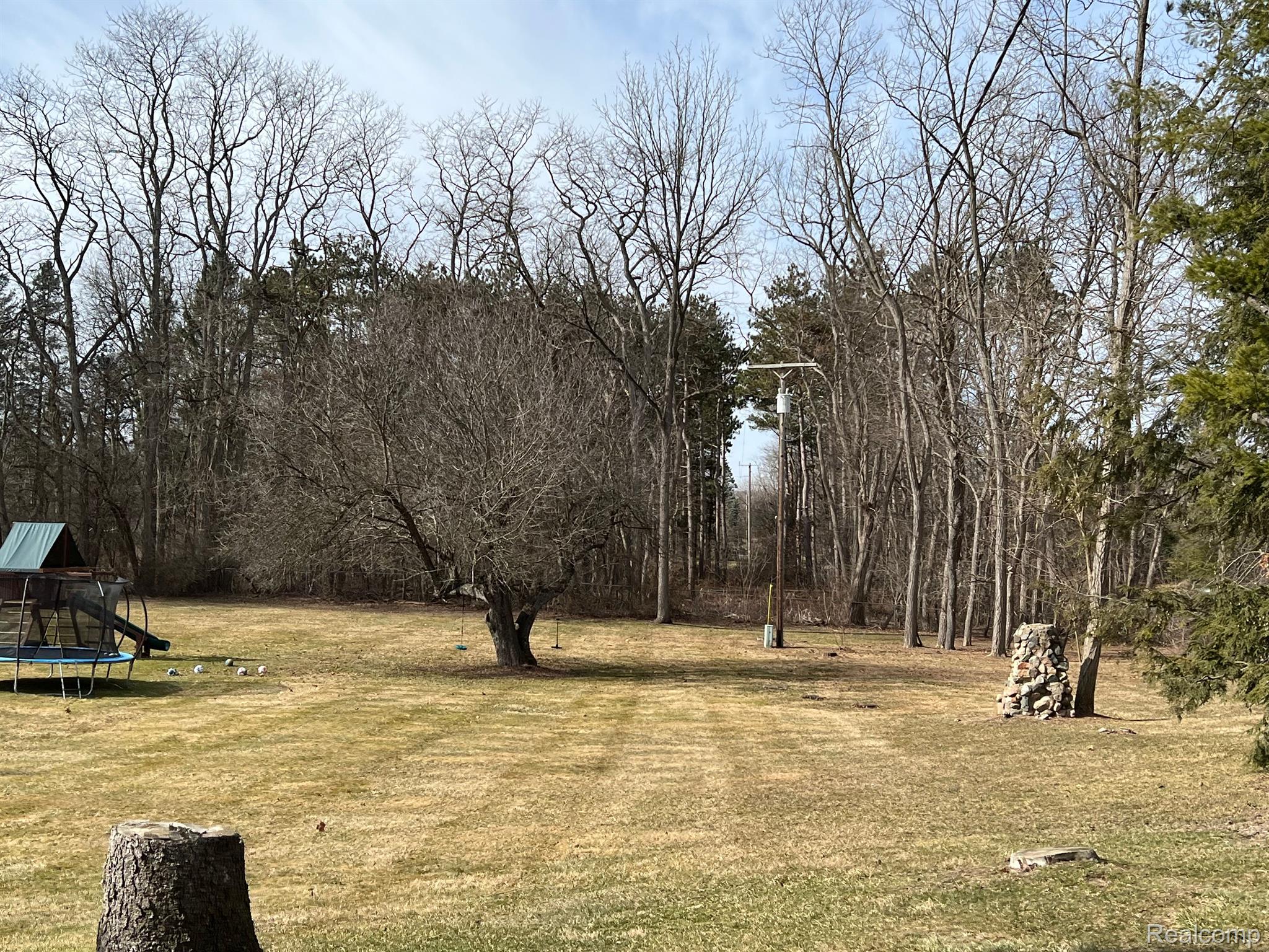 1750 East Gunn Road Rochester, MI 48306 - Photo 64 of 90 Large Yard Area