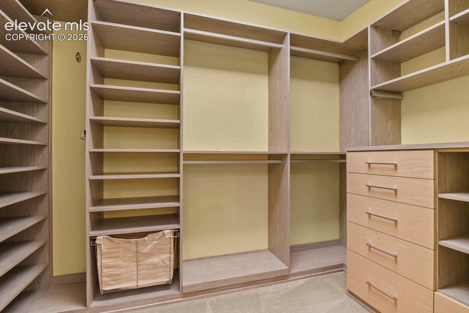5545 Wilson Road Colorado Springs, CO 80919 - Photo 22 of 48 Primary bedroom custom closet system featuring extensive shelving, multiple hanging rods, and built-in drawers with modern hardware
