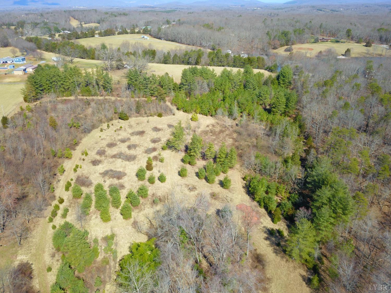 6 Founding Way Road Bedford, VA 24523 - Photo 3 of 12 Gallery Image 3