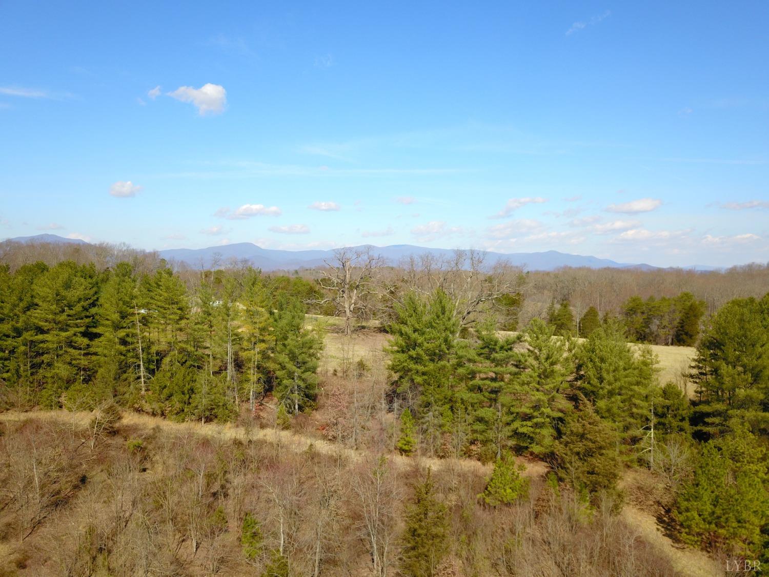 6 Founding Way Road Bedford, VA 24523 - Photo 6 of 12 Gallery Image 6