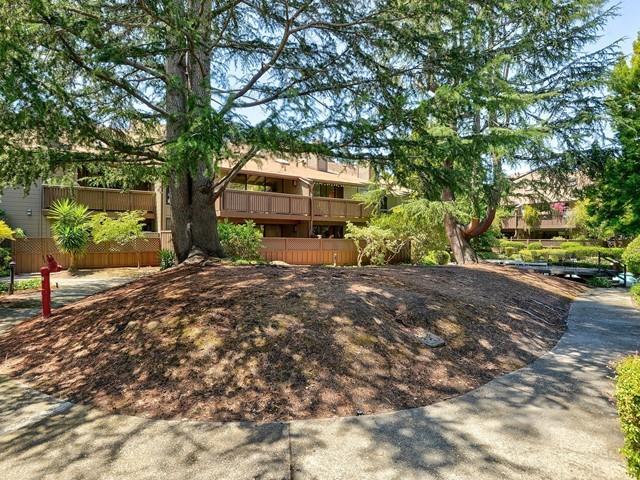 2040 West Middlefield Road, Unit 11 Mountain View, CA 94043 - Photo 23 of 24 Gallery Image 23