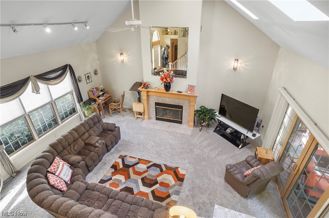693 Timbercreek Road Northfield, OH 44067 - Photo 6 of 34 Living room with a fireplace, light carpet, vaulted ceiling, track lighting and skylights
