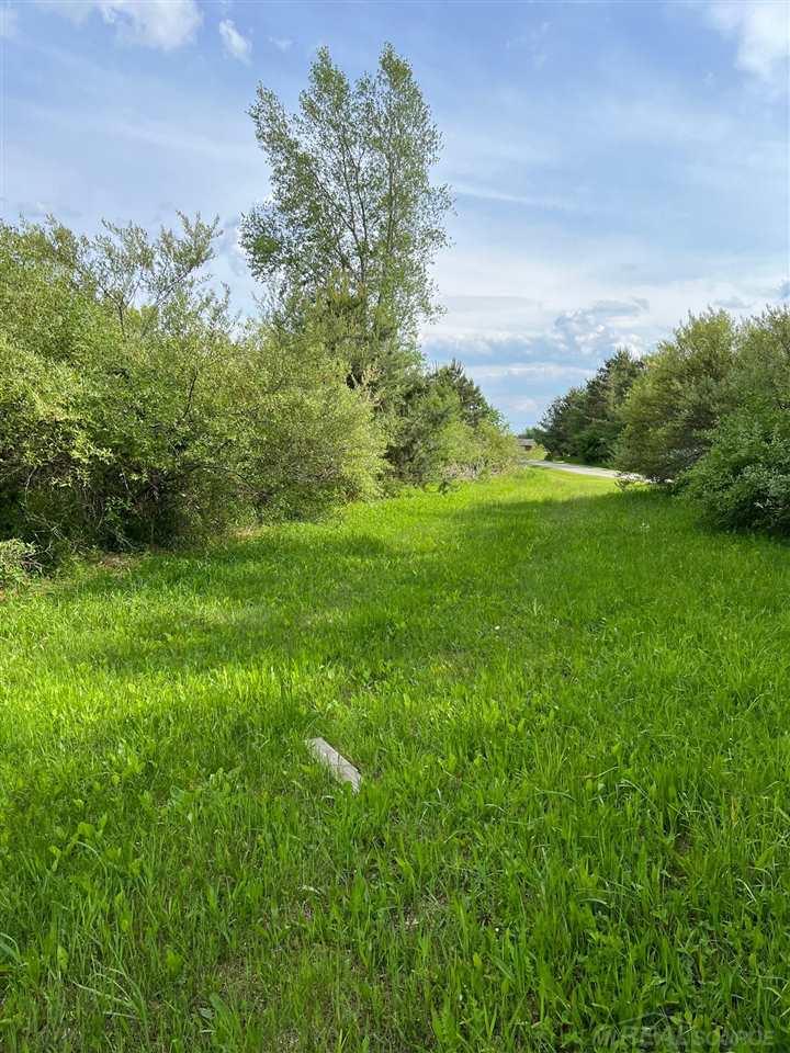 0 Forester Road Carsonville, MI 48419 - Photo 6 of 6