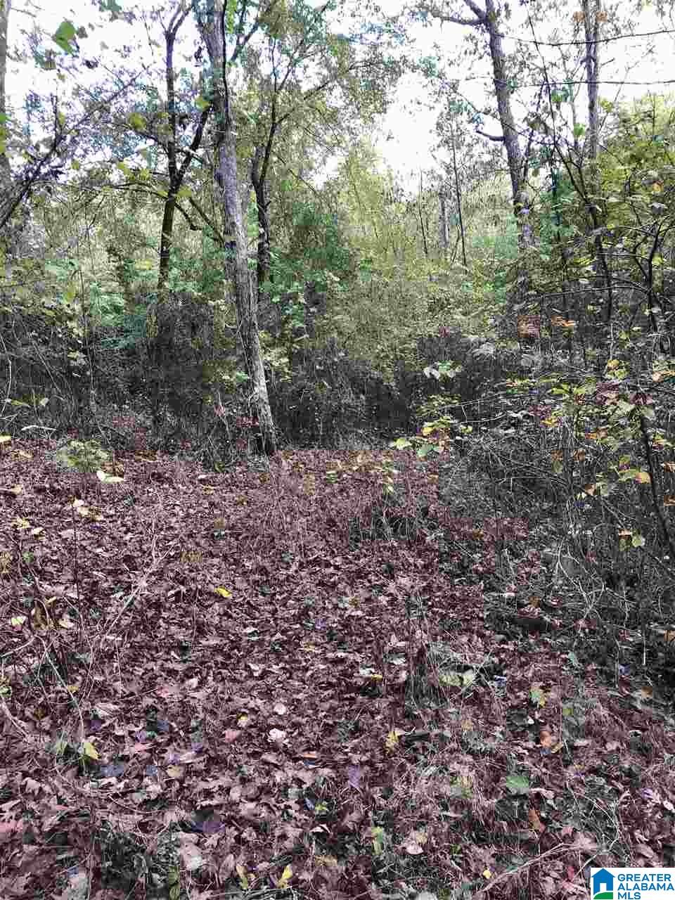 1114 Roulain Road, Unit 1114 Odenville, AL 35120 - Photo 4 of 4