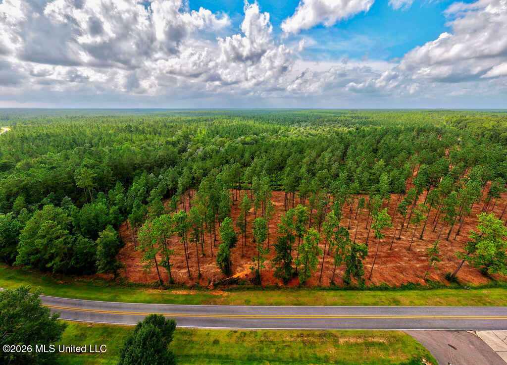 Nhn Lot 2 Nhn Road Saucier, MS 39574 - Photo 72 of 87 HiddenCreekEstatesNoLines-29
