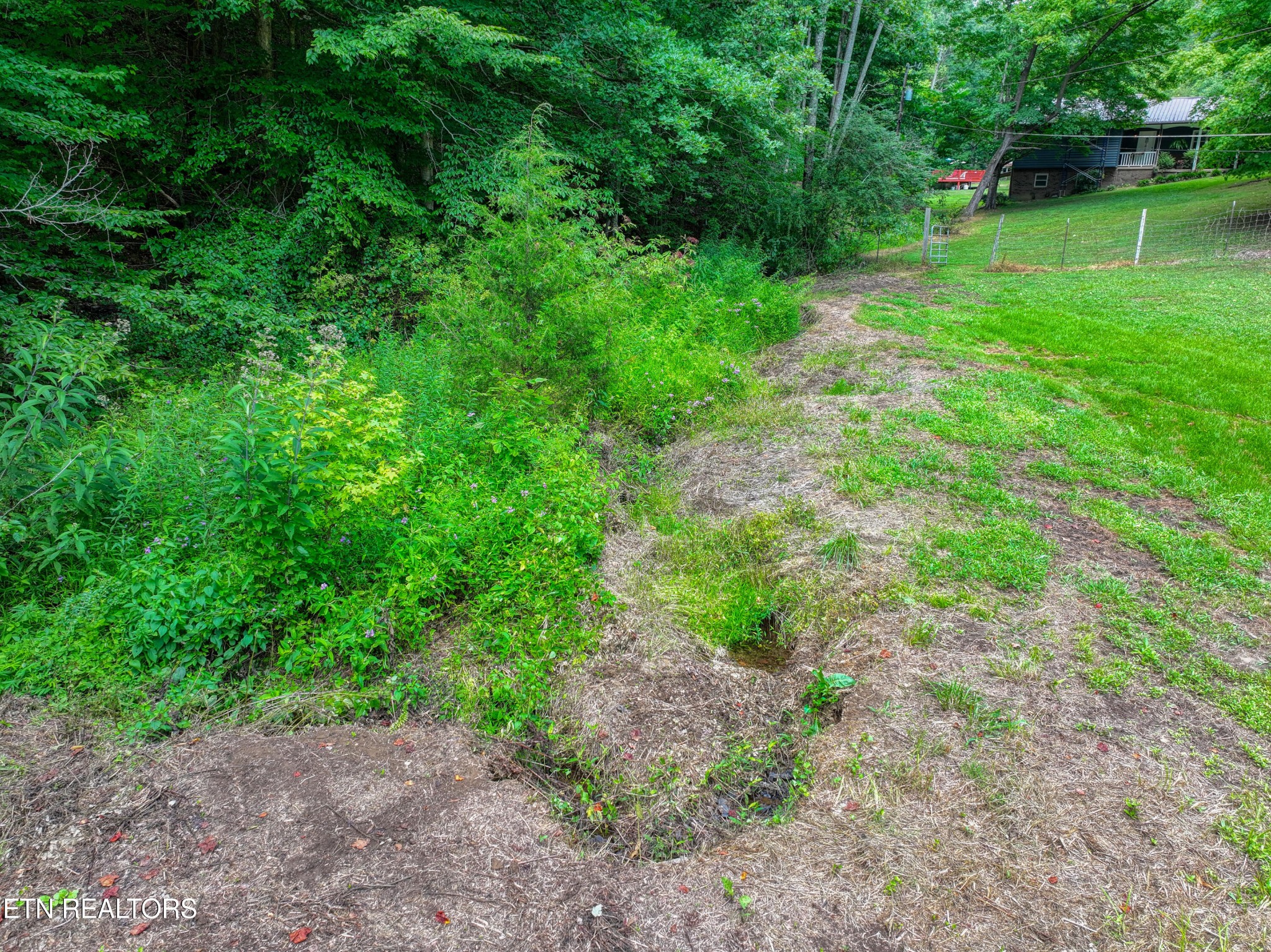 713 Pine Ridge Road Clinton, TN 37716 - Photo 47 of 57 a view of a yard with a tree